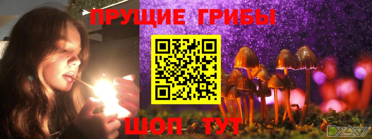 Галлюциногенные грибы ЛСД  Псилоцибиновые грибы прущие грибы  Ногинск  Вход с VPN 
